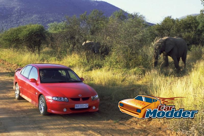 VX Commodore South Africa