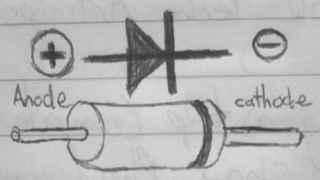 How an actual Diode is connected to a circuit
