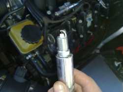 Preparing to fit the new spark plug by hand