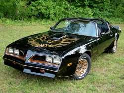 1977 Pontiac Firebird Trans Am