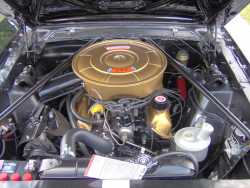 289cu Windsor 4 Barrel V8 (1966 Mustang)