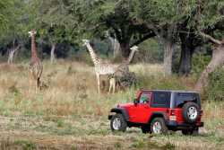 2007 Jeep Wrangler