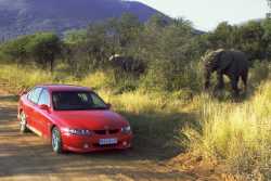 VX Commodore South Africa