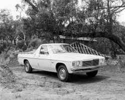 Holden HJ Ute