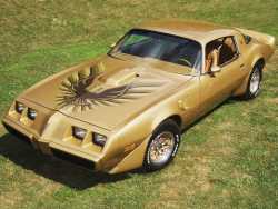 1979 Pontiac Firebird Trans Am